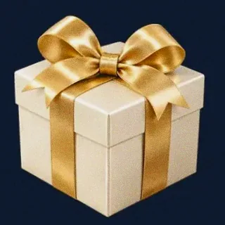 Wrapped gift box — Onluck